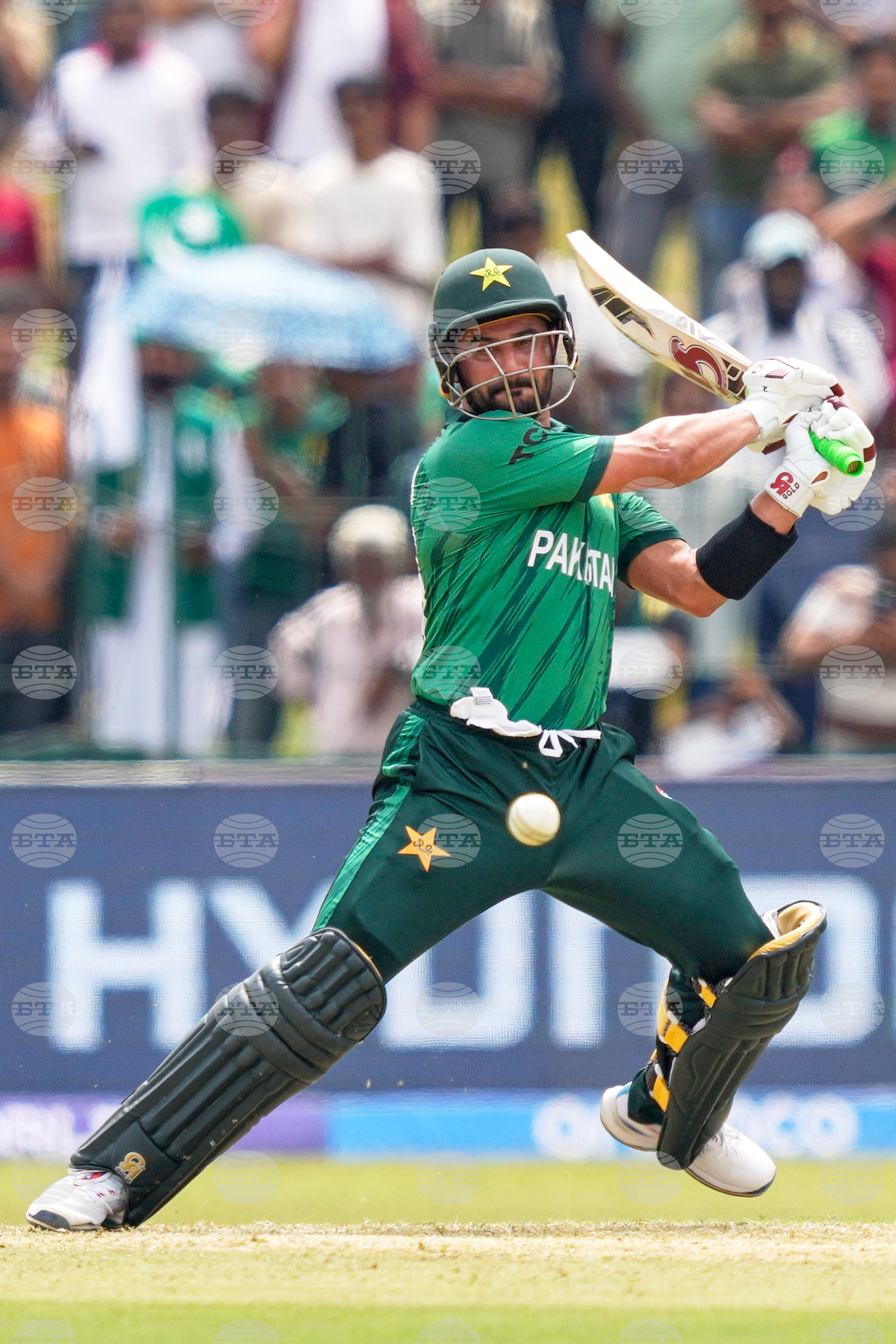 Netherlands Pakistan T20 WCup Cricket