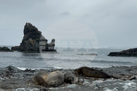 Antarctica-Bulgarian Antarctic Base St. Kliment Ohridski-Research Vessel Sv.Sv Kiril i Metodii
