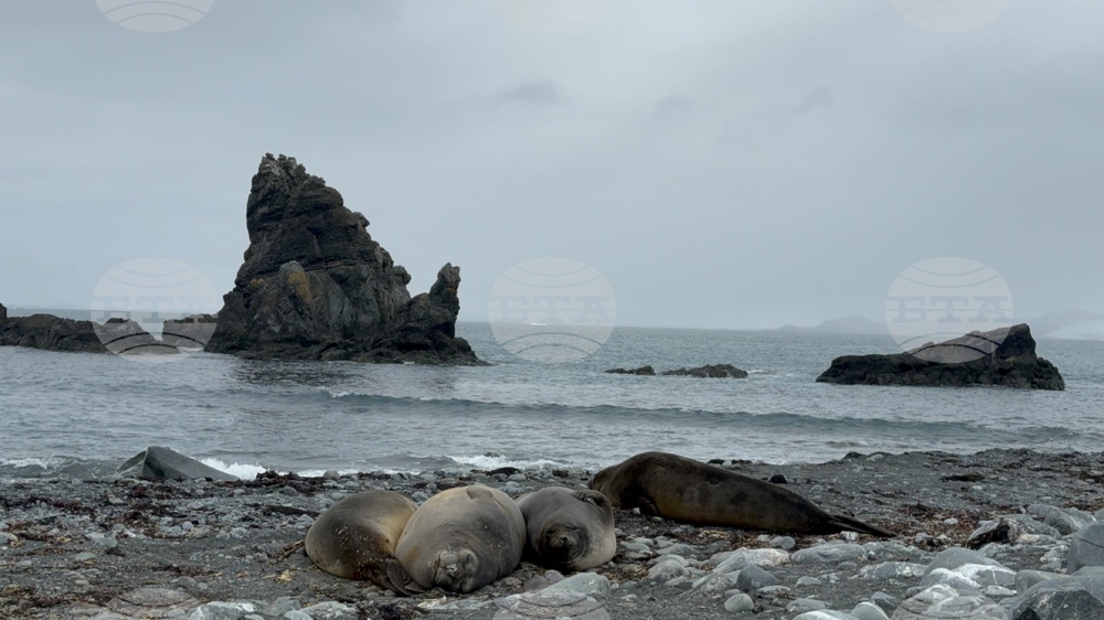 Antarctica-Bulgarian Antarctic Base St. Kliment Ohridski-Research Vessel Sv.Sv Kiril i Metodii
