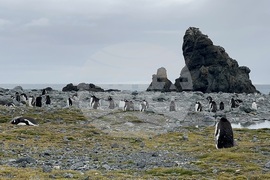 Antarctica-Bulgarian Antarctic Base St. Kliment Ohridski-Research Vessel Sv.Sv Kiril i Metodii