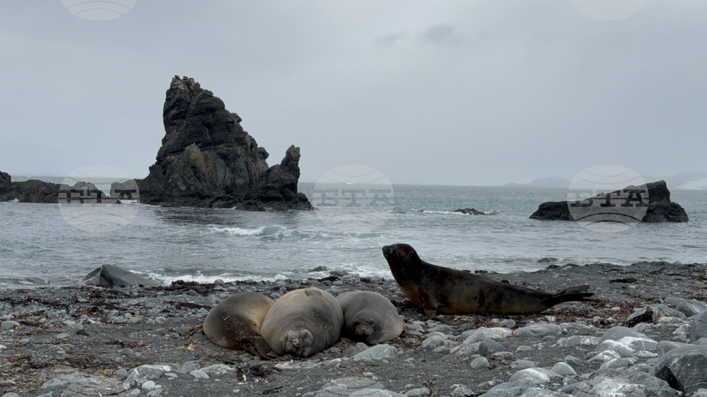 Antarctica-Bulgarian Antarctic Base St. Kliment Ohridski-Research Vessel Sv.Sv Kiril i Metodii