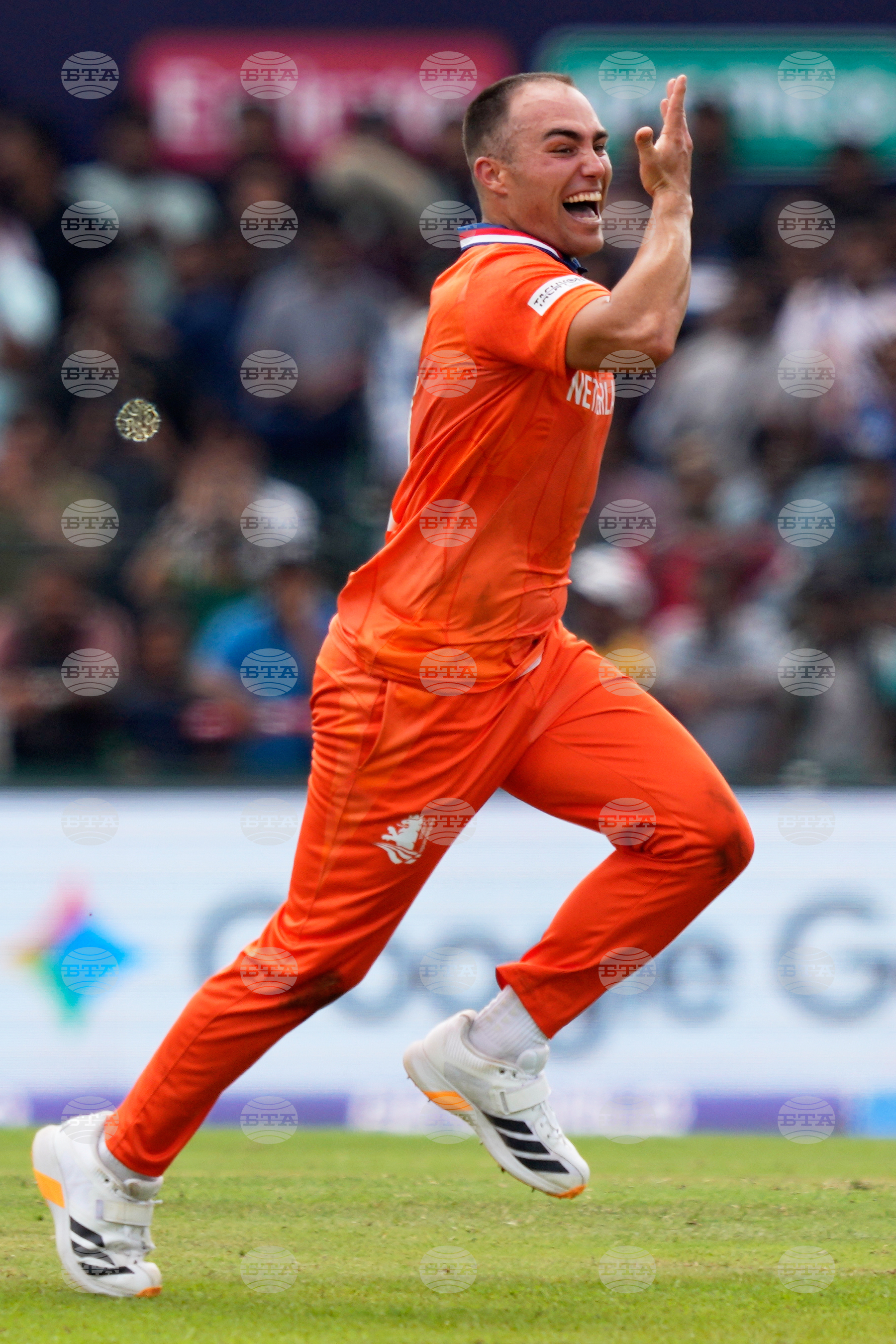 Netherlands Pakistan T20 WCup Cricket