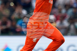 Netherlands Pakistan T20 WCup Cricket