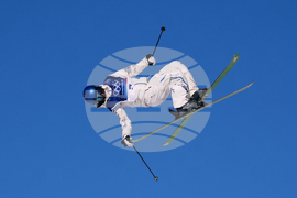 Milan Cortina Olympics Freestyle Skiing