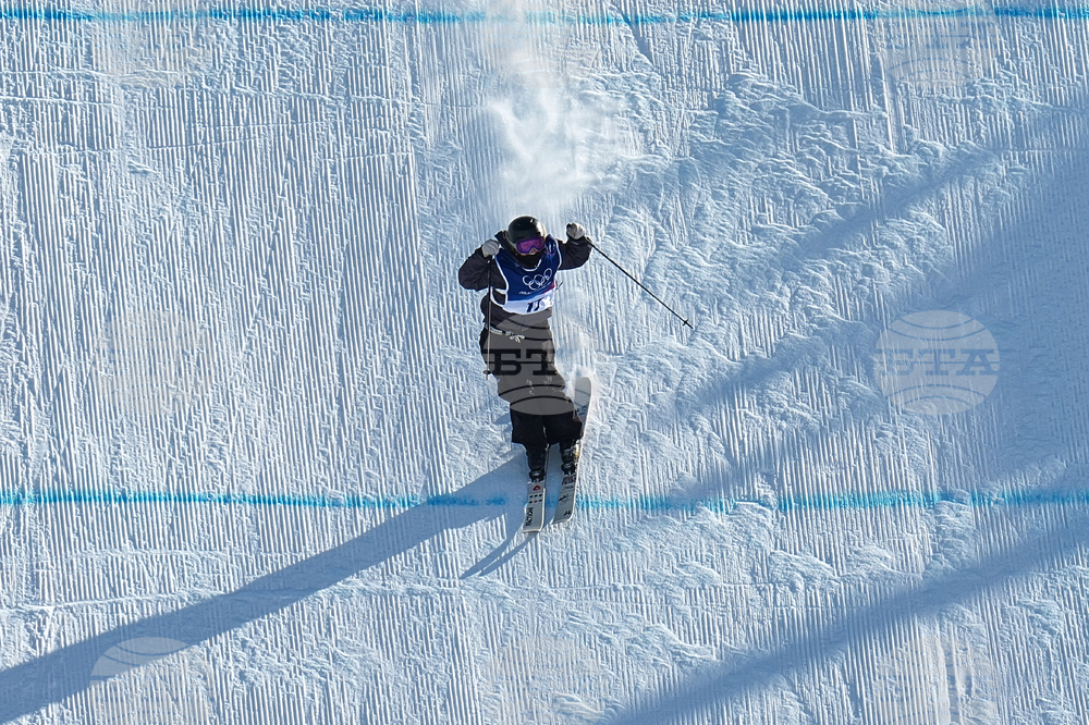 Milan Cortina Olympics Freestyle Skiing
