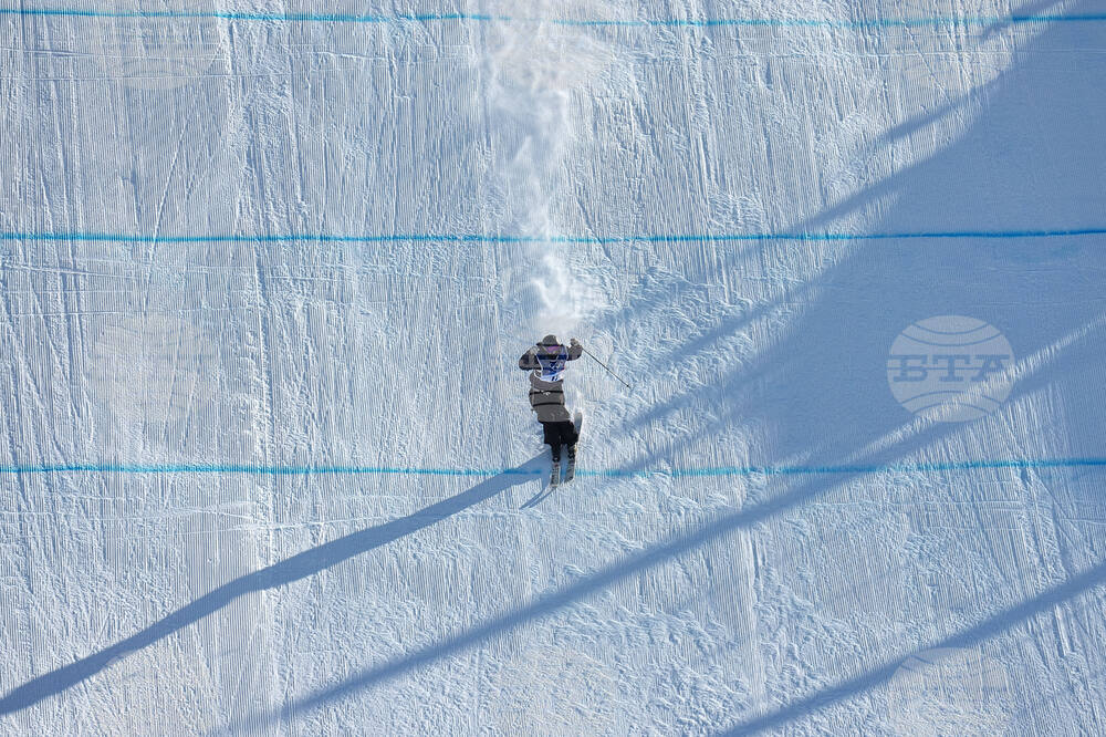 Milan Cortina Olympics Freestyle Skiing