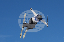 Milan Cortina Olympics Freestyle Skiing