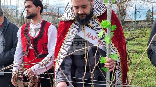 Празник на виното събра за 21-ви път лозари и винопроизводители от Тунджанско в село Скалица