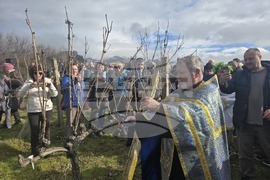 Село Илинденци - Празник на Боговете на виното