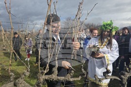 Село Илинденци - Празник на Боговете на виното