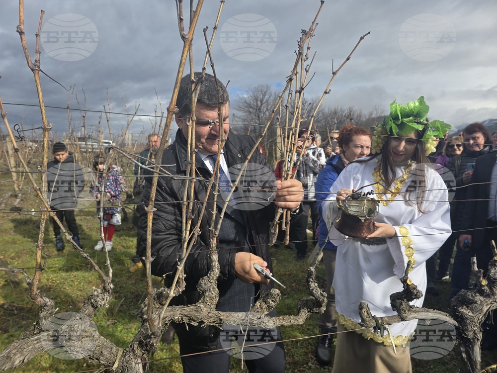 Село Илинденци - Празник на Боговете на виното