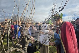 Село Илинденци - Празник на Боговете на виното