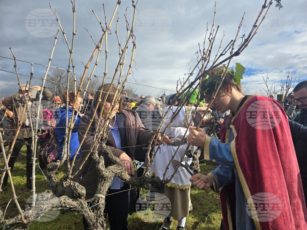Село Илинденци - Празник на Боговете на виното
