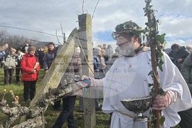 Село Илинденци - Празник на Боговете на виното