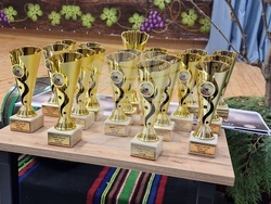 Попово - Празник на виното и мезето „Трифон Зарезан - 2026“