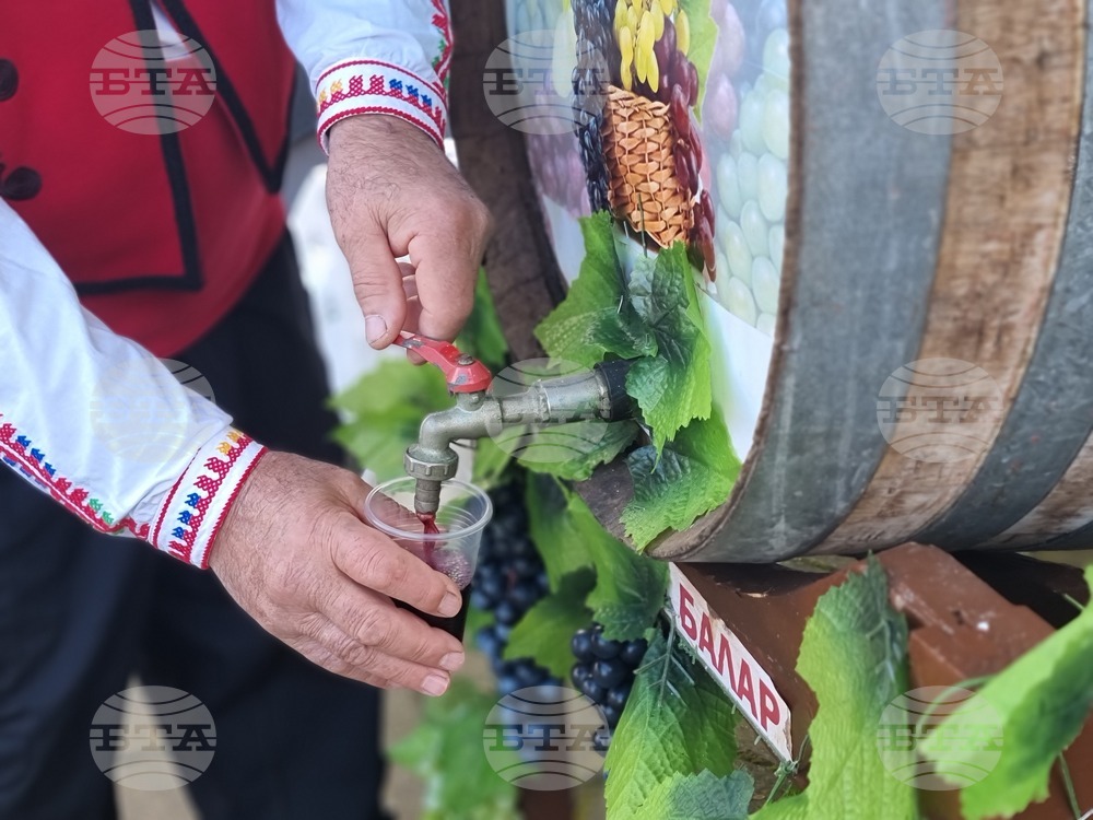 Село Скалица - 21-ви празник на виното - избиране на "Цар на виното"