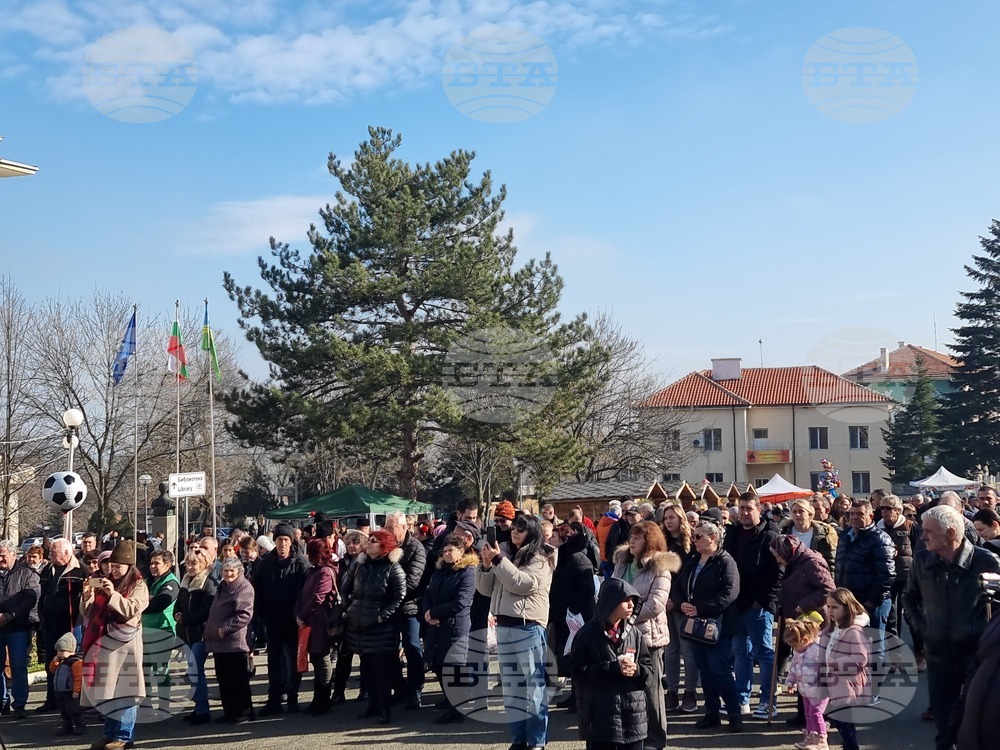 Село Скалица - 21-ви празник на виното - избиране на "Цар на виното"