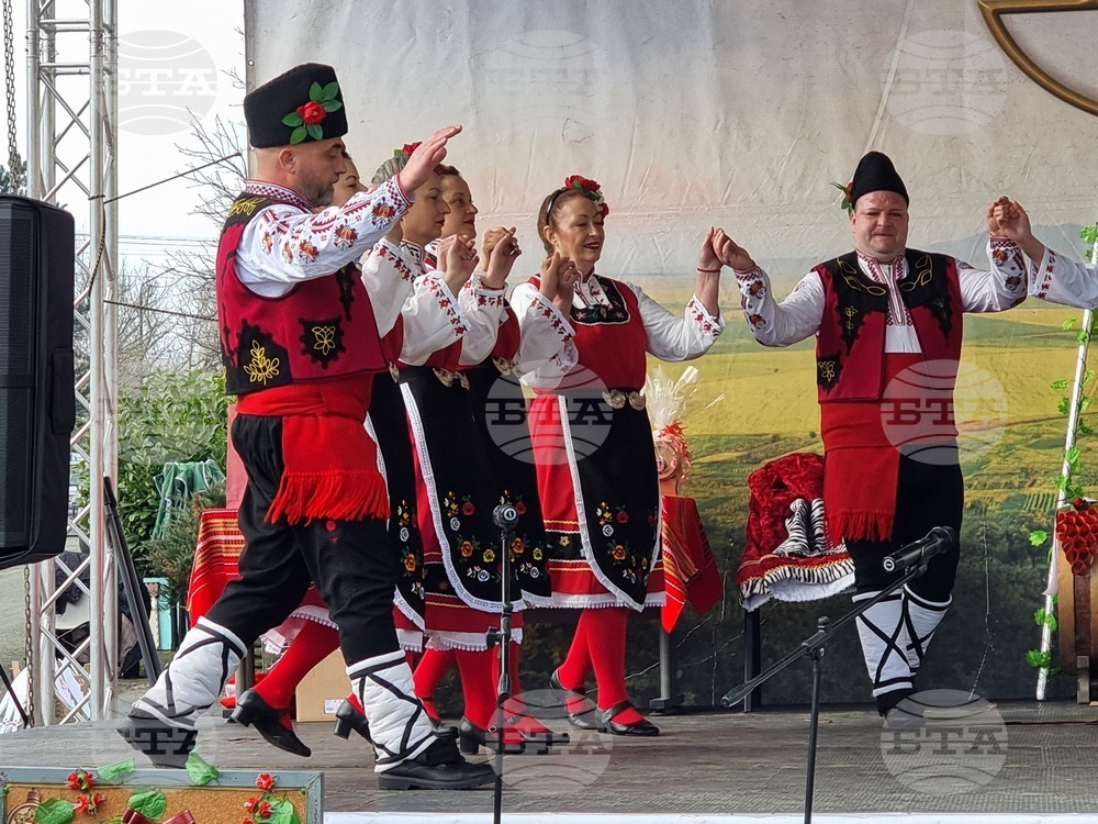 Село Скалица - 21-ви празник на виното - избиране на "Цар на виното"