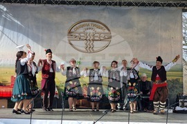 Село Скалица - 21-ви празник на виното - избиране на "Цар на виното"