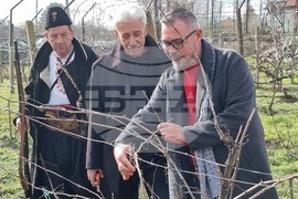 Село Скалица - 21-ви празник на виното - избиране на "Цар на виното"