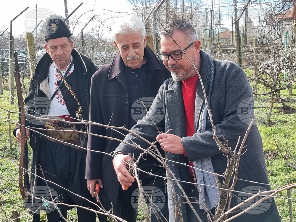 Село Скалица - 21-ви празник на виното - избиране на "Цар на виното"