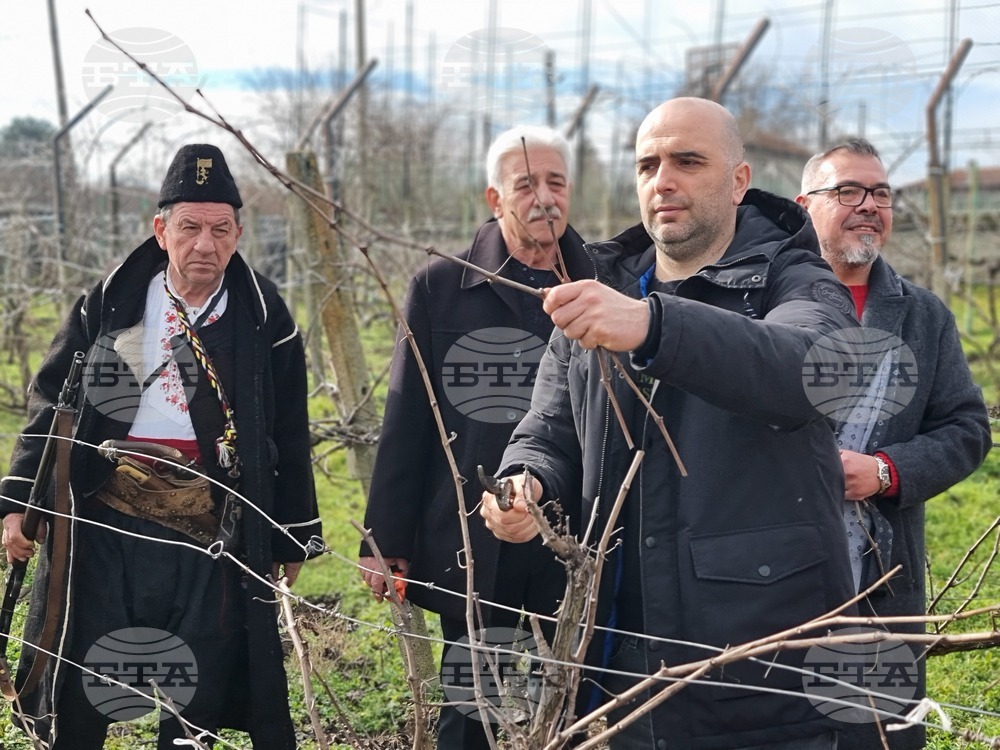 Село Скалица - 21-ви празник на виното - избиране на "Цар на виното"