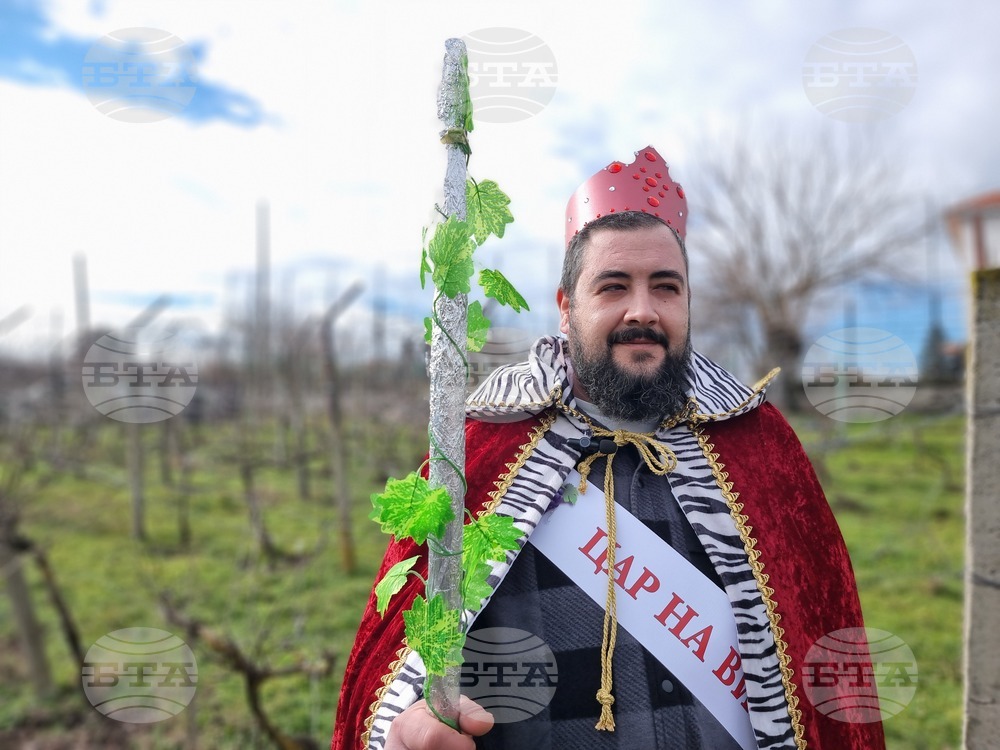 Село Скалица - 21-ви празник на виното - избиране на "Цар на виното"