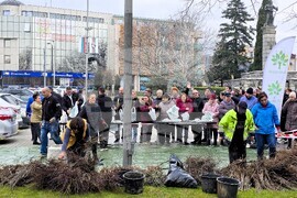 Сливен - залесяване - Гората.бг