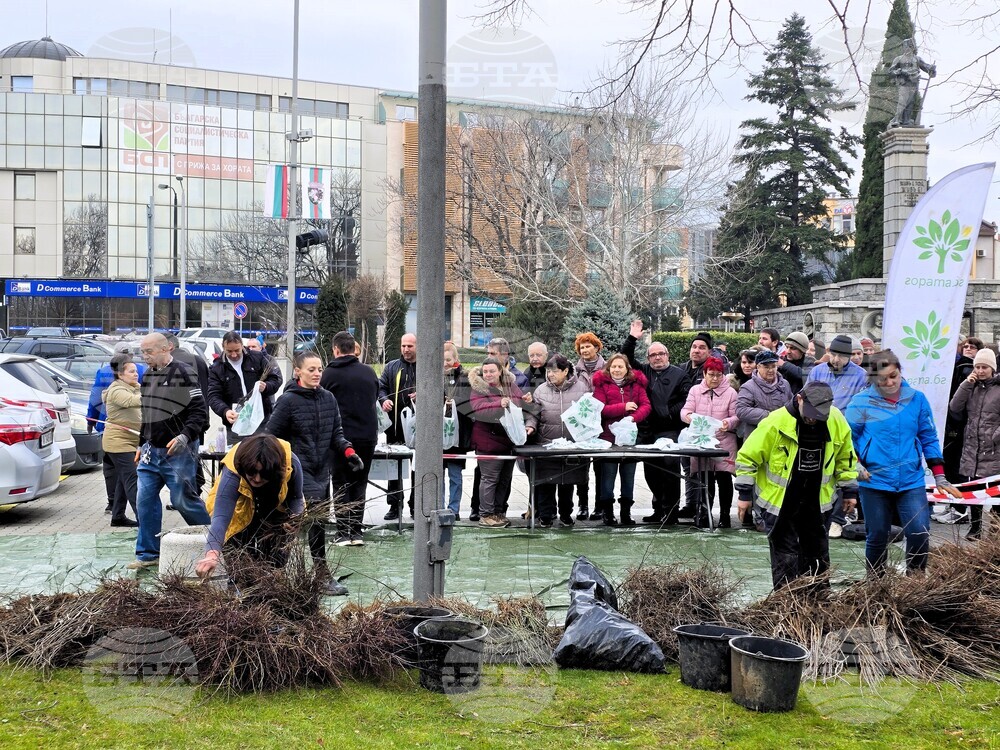 Сливен - залесяване - Гората.бг