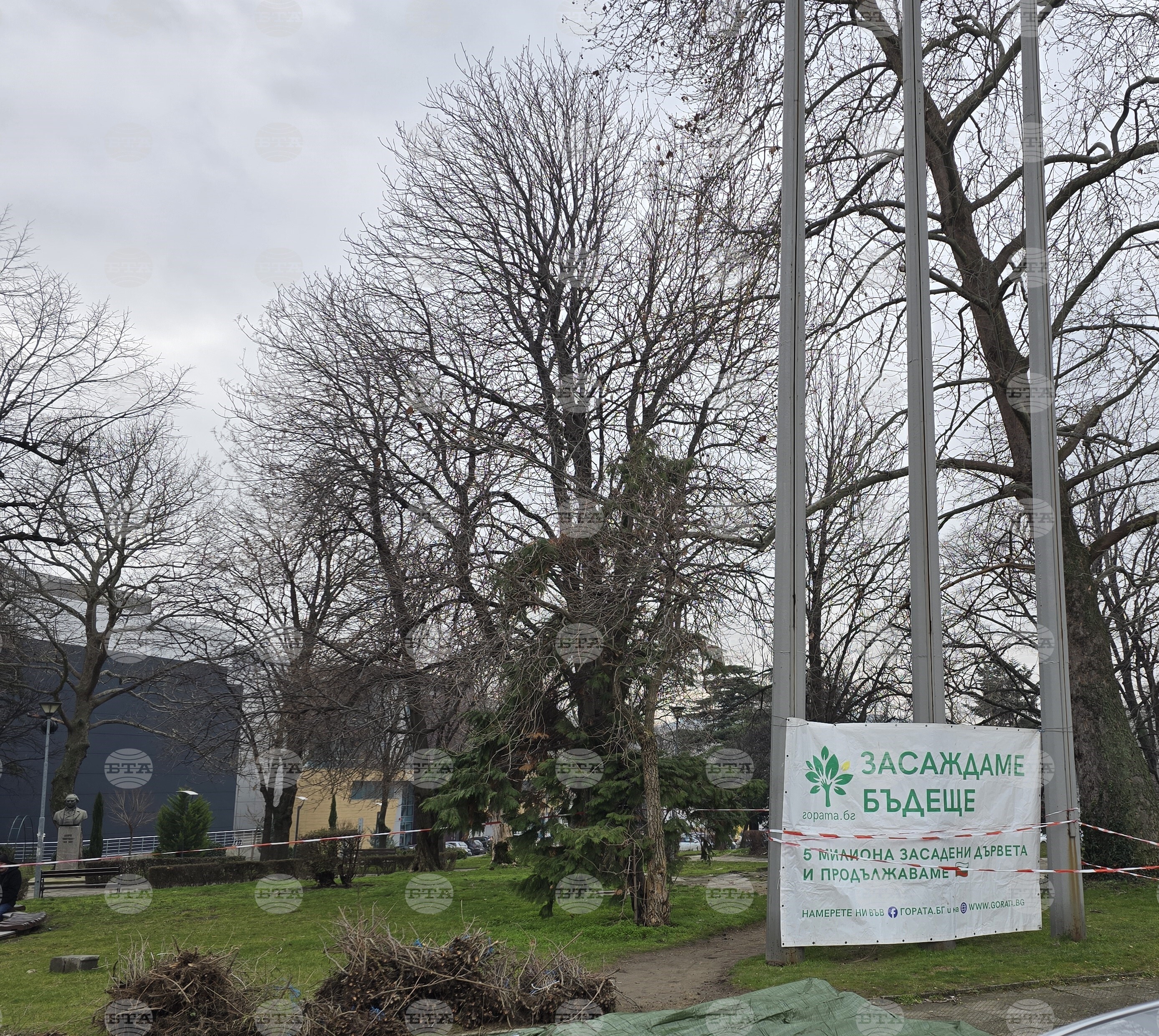 Сливен - залесяване - Гората.бг