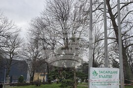 Сливен - залесяване - Гората.бг