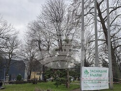 Сливен - залесяване - Гората.бг