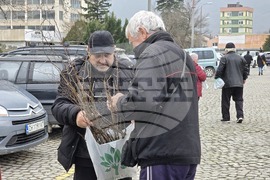 Сливен - залесяване - Гората.бг