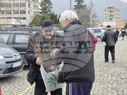 Сливен - залесяване - Гората.бг