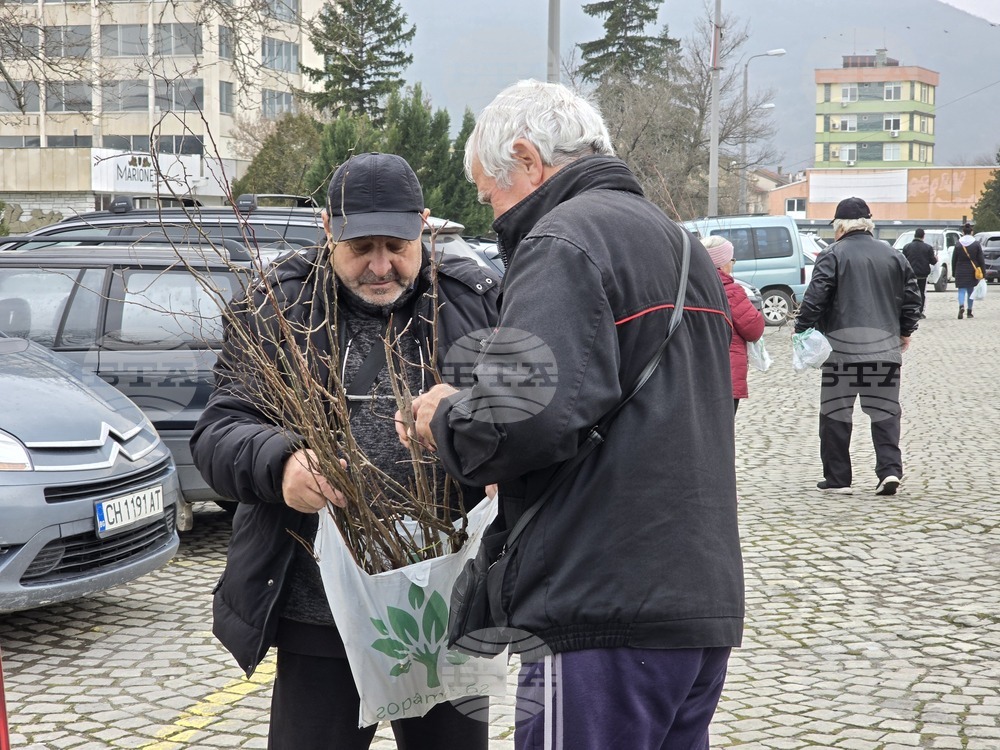 Сливен - залесяване - Гората.бг