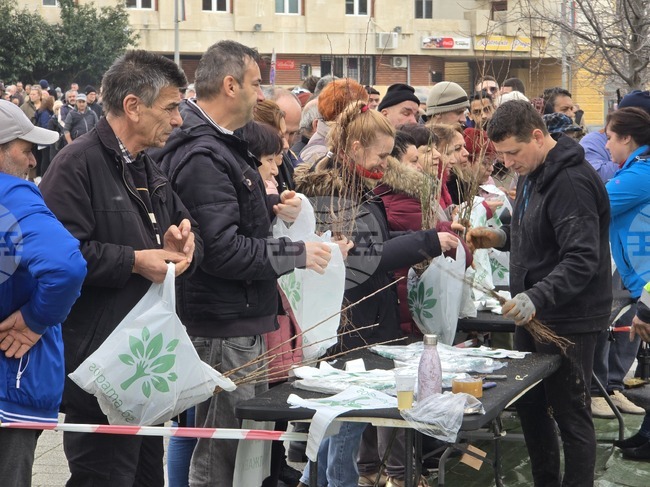 Сливен - залесяване - Гората.бг