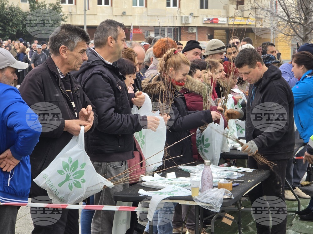 Сливен - залесяване - Гората.бг
