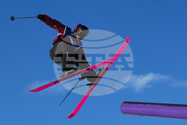 Milan Cortina Olympics Freestyle Skiing
