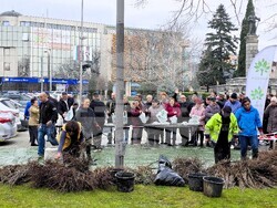 Сливен - залесяване - Гората.бг