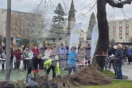 Сливен - залесяване - Гората.бг