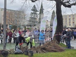 Сливен - залесяване - Гората.бг