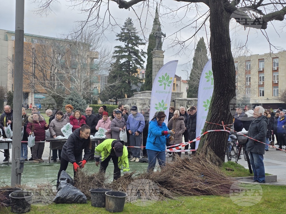 Сливен - залесяване - Гората.бг