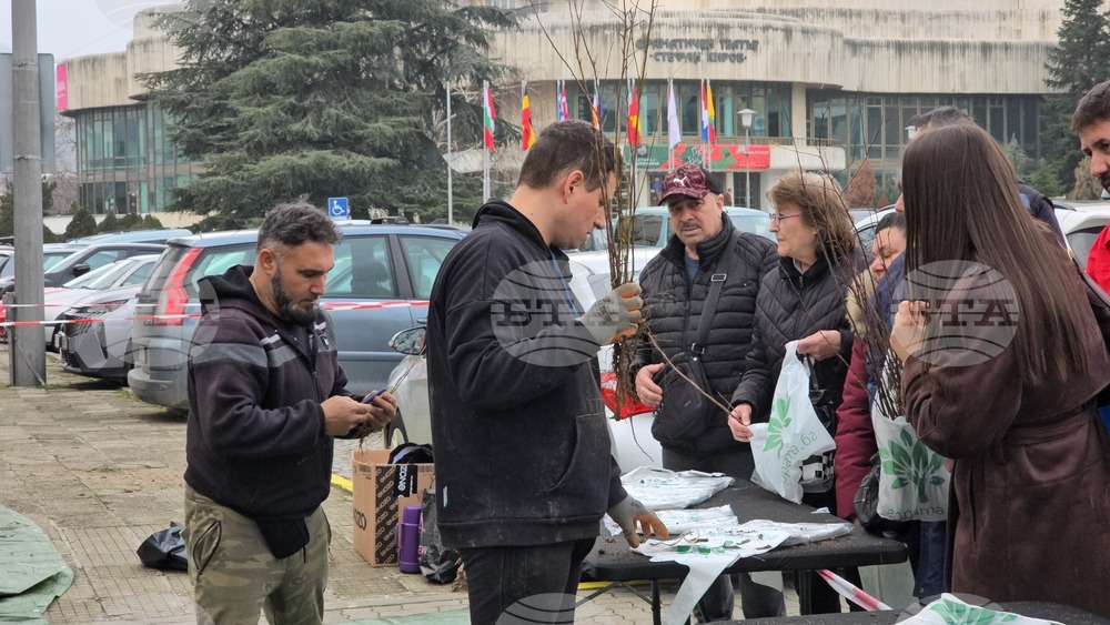 Сливен - залесяване - Гората.бг