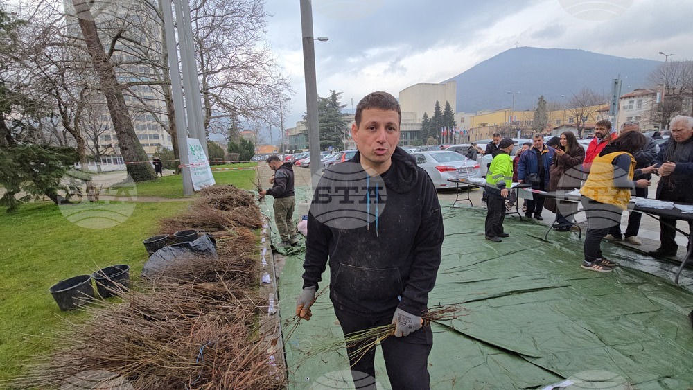 Сливен - залесяване - Гората.бг