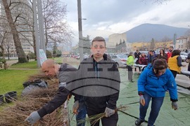 Сливен - залесяване - Гората.бг