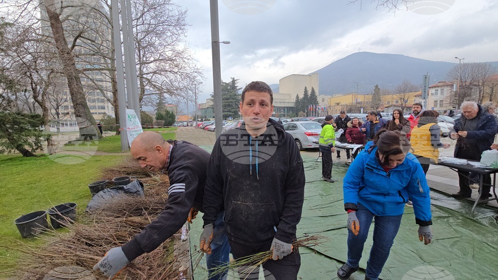 Сливен - залесяване - Гората.бг