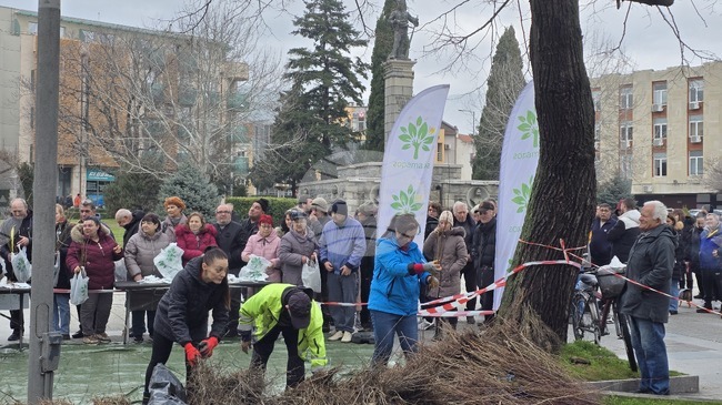 В Сливен бяха раздадени 15 000 дръвчета за засаждане по инициативата „Гората.бг“