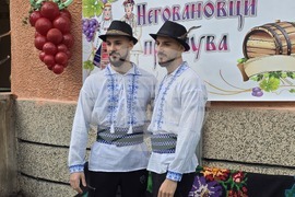 Село Неговановци - Трифон Зарезан - отбелязване