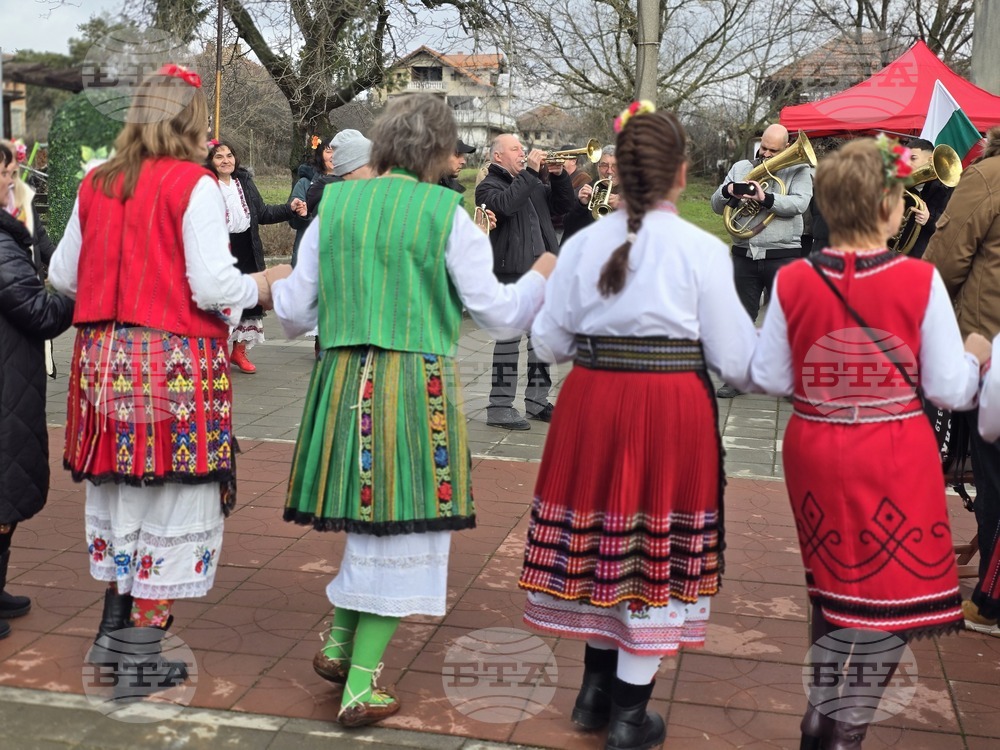 Село Неговановци - Трифон Зарезан - отбелязване