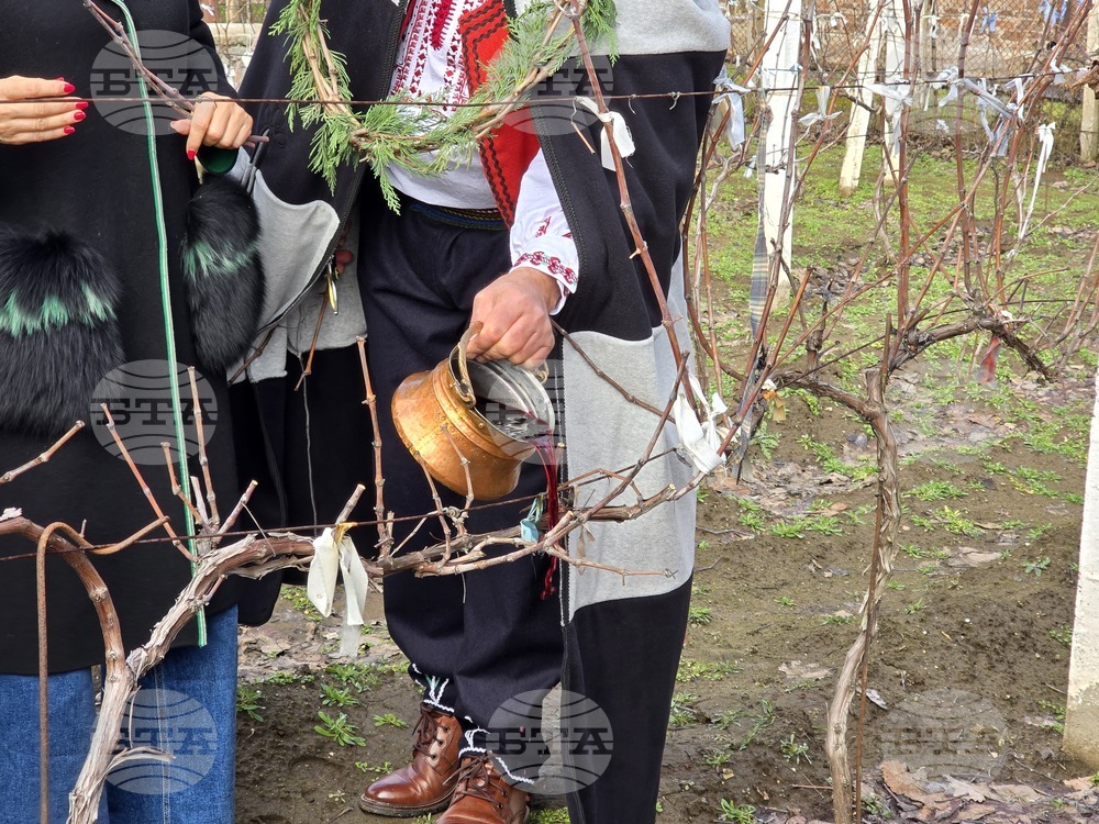 Село Неговановци - Трифон Зарезан - отбелязване